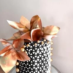 Belsize Cake Stencils Illusion Cake Stencil -Dream Cake Shop belsize cake stencils illusion cake stencil p17097 60930 image