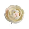 Culpitt Gumpaste Ranunculus Flowers 40mm -Dream Cake Shop culpitt gumpaste ranunculus flowers 40mm p8055 32601 image