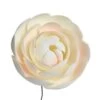 Culpitt Gumpaste Ranunculus Flowers - 55mm - Box Of 20 -Dream Cake Shop culpitt gumpaste ranunculus flowers 55mm box of 20 p8056 32602 image