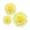 Culpitt Ombre Yellow Sugar Soft Roses - Mixed Pack Of 38mm, 50mm, 63mm - Boxed 12 -Dream Cake Shop culpitt ombre yellow sugar soft roses mixed pack of 38mm 50mm 63mm boxed 12 p9018 34625 image