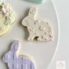 Oh My Cookie Rabbits And Flowers Background Cookie Stamp -Dream Cake Shop oh my cookie rabbits and flowers background p17154 61323 image