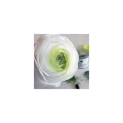 Saracino Bulk Pack Of 100 - Premium Edible Wafer Paper (Thickness: 0.3mm) 7 Saracino Bulk Pack Of 100 - Premium Edible Wafer Paper (Thickness: 0.3mm) -Dream Cake Shop saracino bulk pack of 100 premium edible wafer paper thickness 0 3mm p3917 17847 image