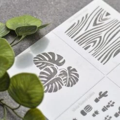 Silvia Favero Cookie Stencil - Nature - Set Of 7 -Dream Cake Shop silvia favero cookie stencil nature set of 7 p14097 49163 image