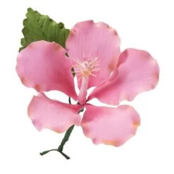 Wilton Gumpaste Flower Cut-Outs Set -Dream Cake Shop wilton gumpaste flower cut outs set p6434 27349 image