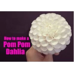 Zee Chik Designs Pom Pom Dahlia Cutter 9x6 Cm + Former Set -Dream Cake Shop zee chik designs pom pom dahlia cutter 9x6 cm former set p8388 33156 image